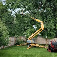 Best Sod Installation  in Mckee City, NJ