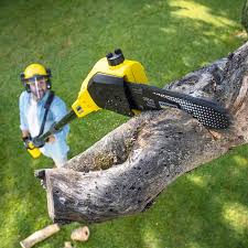 Best Lawn Pest Prevention  in Mckee City, NJ