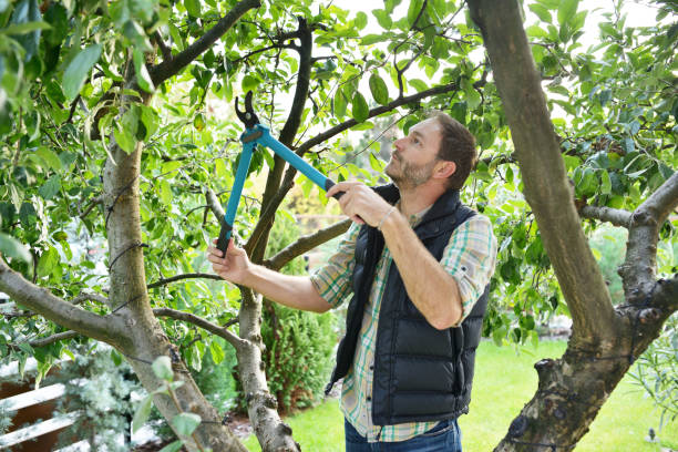 Best Lawn Irrigation Installation and Maintenance  in Mckee City, NJ